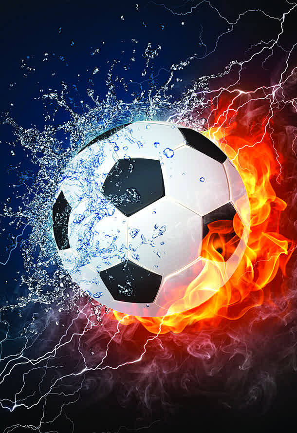 较强的适应 较强的适应