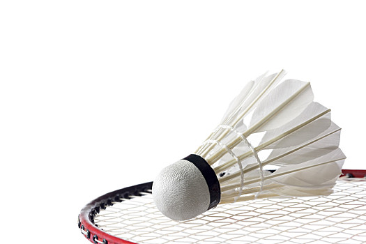 历史交锋记 历史交锋记